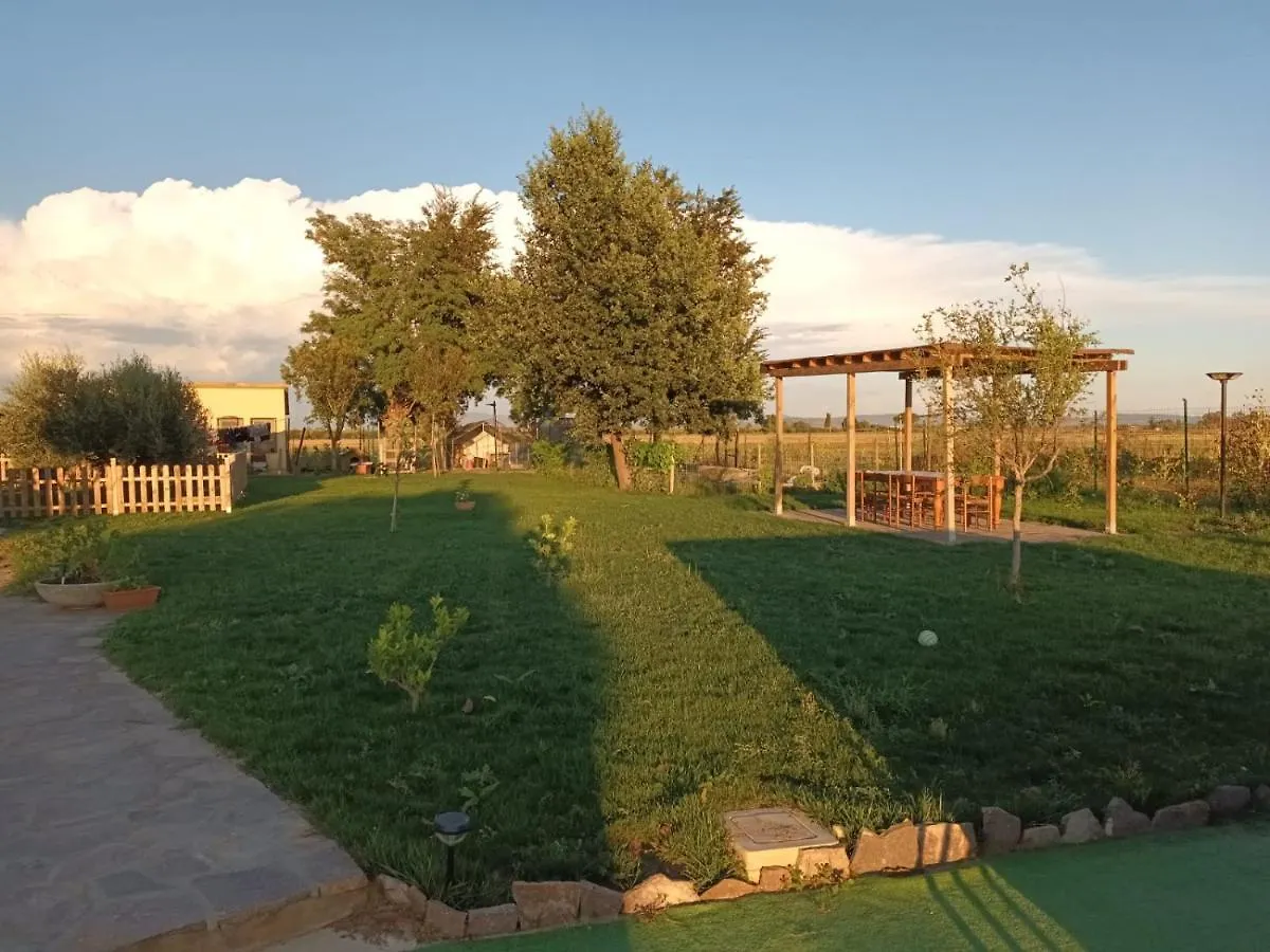 Podere 660 Appartamento Il Giuggiolo Marrucheto Italy